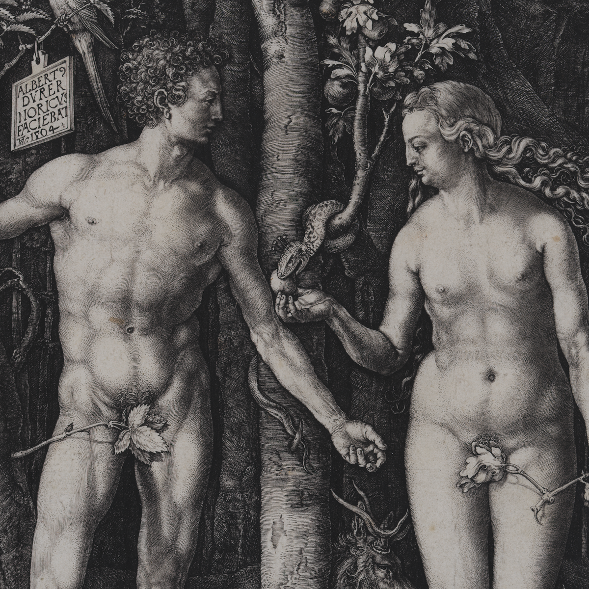 Adam and Eve | Albrecht Dürer | 1504
