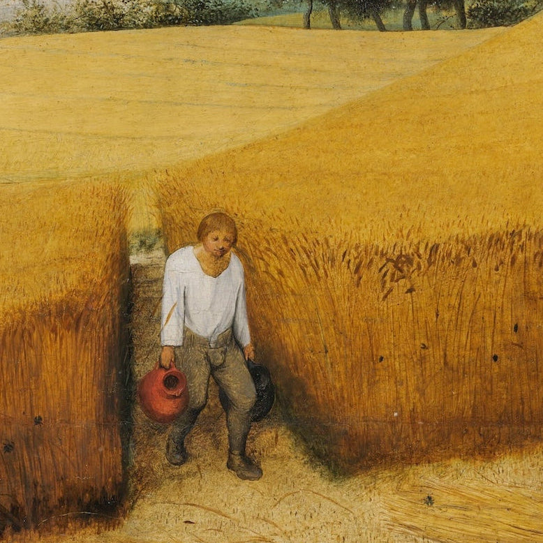 Harvesters | Pieter Breughel | 1565